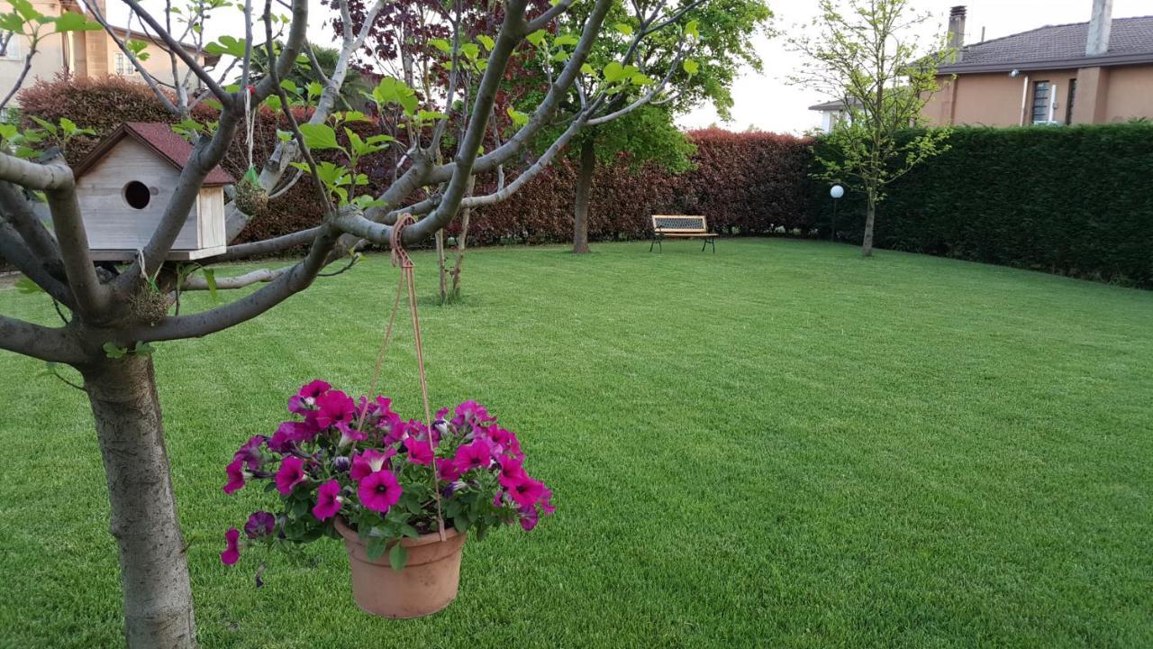 Bed and Breakfast Il Farfasole Vigonovo  Zewnętrze zdjęcie