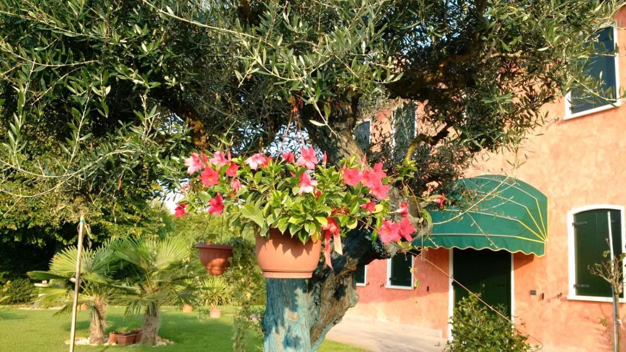 Bed and Breakfast Il Farfasole Vigonovo  Zewnętrze zdjęcie