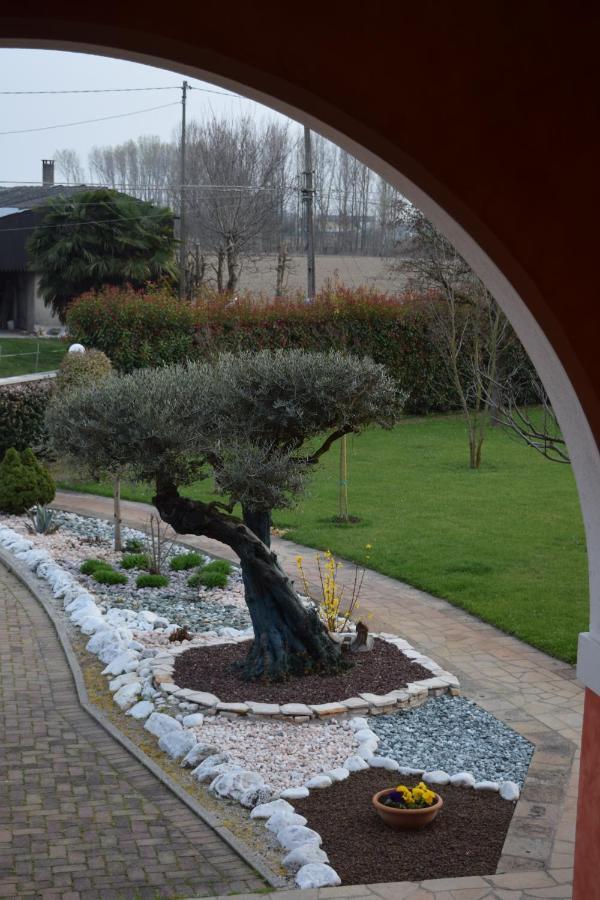 Bed and Breakfast Il Farfasole Vigonovo  Zewnętrze zdjęcie